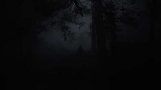 Longlegs - Backdrops