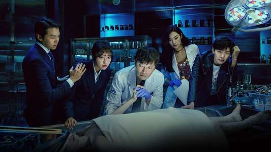 Partners for Justice - Backdrops