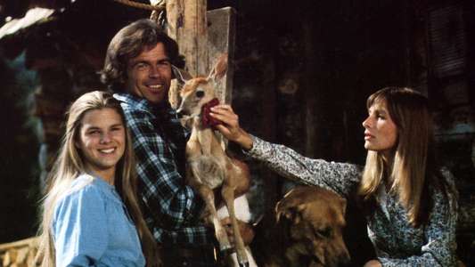 Mountain Family Robinson - Backdrops