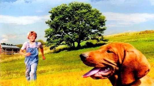 Where the Red Fern Grows - Backdrops