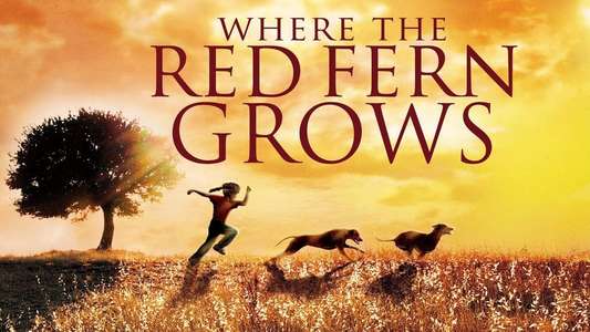 Where the Red Fern Grows - Backdrops