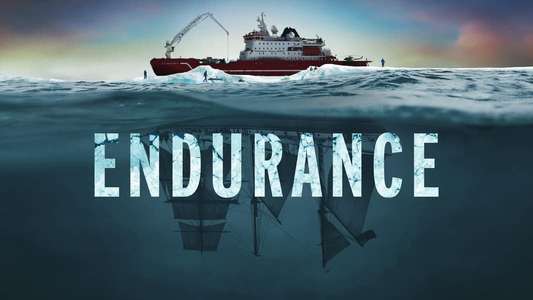 Endurance - Backdrops