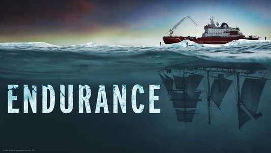 Endurance - Backdrops