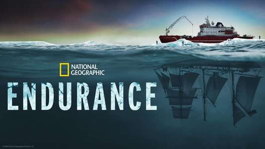Endurance - Backdrops