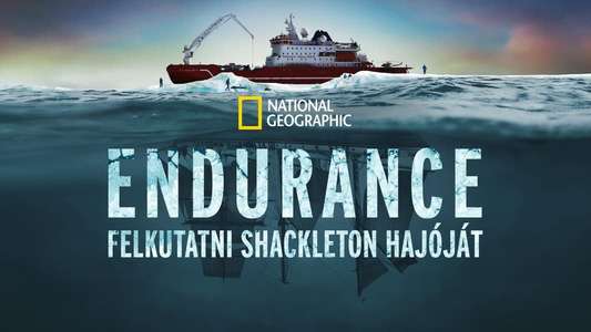 Endurance - Backdrops