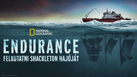Endurance - Backdrops
