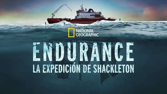 Endurance - Backdrops