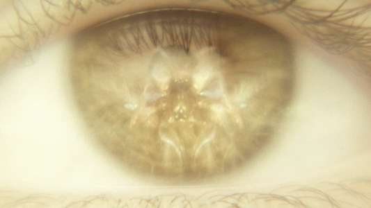 Godzilla x Kong: The New Empire - Backdrops