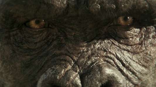 Godzilla x Kong: The New Empire - Backdrops