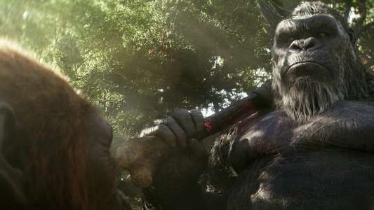 Godzilla x Kong: The New Empire - Backdrops