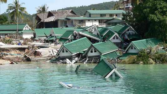 Tsunami: Race Against Time - Backdrops