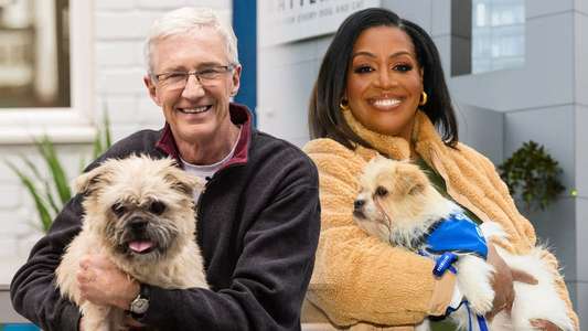 Paul O'Grady: For the Love of Dogs - Backdrops