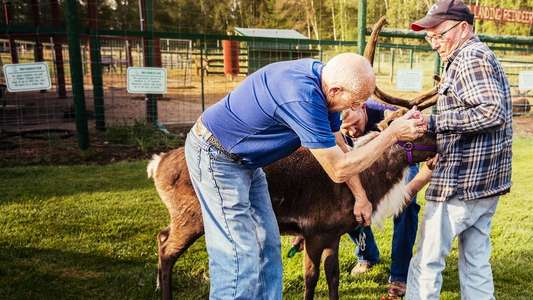 The Incredible Dr. Pol - Backdrops