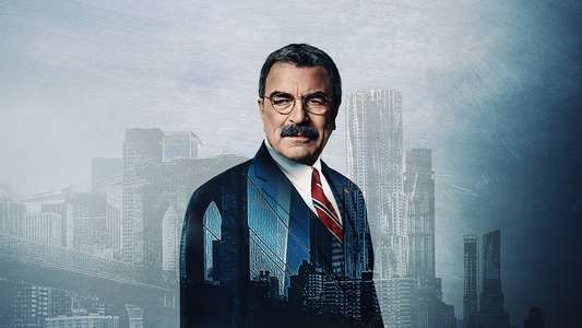 Blue Bloods - Backdrops