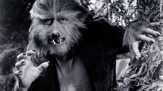 The Boy Who Cried Werewolf - Backdrops