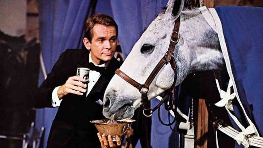 The Horse in the Gray Flannel Suit - Backdrops
