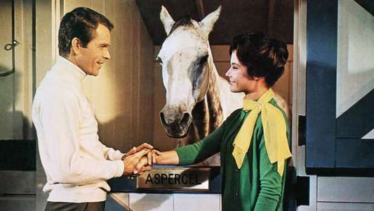 The Horse in the Gray Flannel Suit - Backdrops