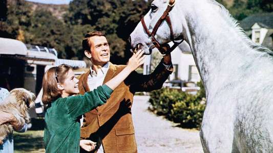 The Horse in the Gray Flannel Suit - Backdrops