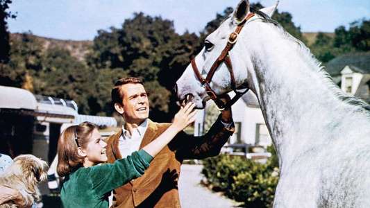 The Horse in the Gray Flannel Suit - Backdrops