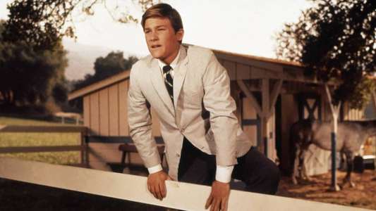 The Horse in the Gray Flannel Suit - Backdrops