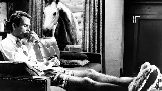 The Horse in the Gray Flannel Suit - Backdrops