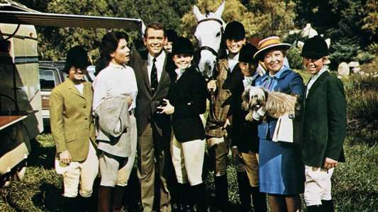The Horse in the Gray Flannel Suit - Backdrops