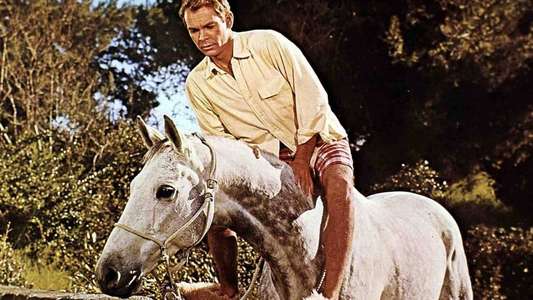 The Horse in the Gray Flannel Suit - Backdrops