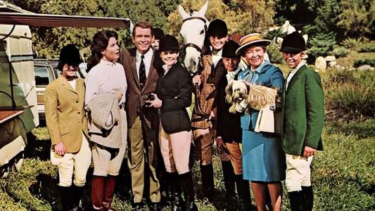The Horse in the Gray Flannel Suit - Backdrops