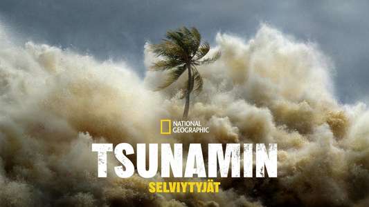Tsunami: Race Against Time - Backdrops
