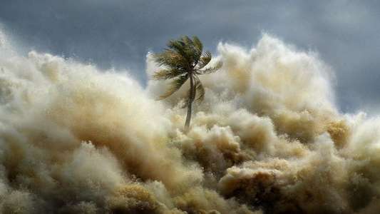 Tsunami: Race Against Time - Backdrops