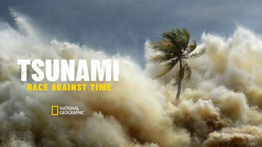 Tsunami: Race Against Time - Backdrops