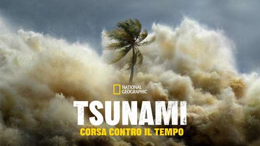 Tsunami: Race Against Time - Backdrops