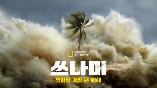 Tsunami: Race Against Time - Backdrops