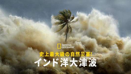 Tsunami: Race Against Time - Backdrops