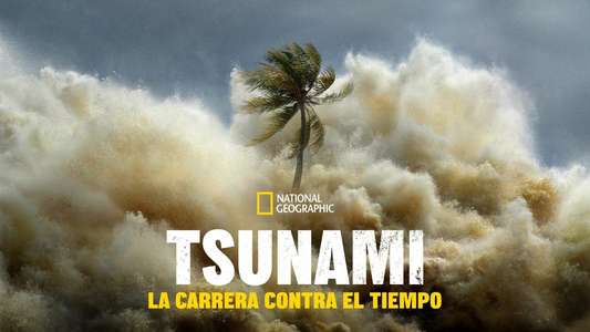 Tsunami: Race Against Time - Backdrops