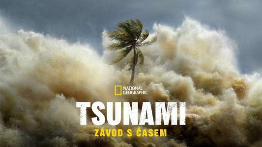Tsunami: Race Against Time - Backdrops