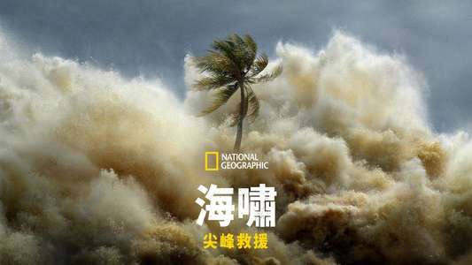Tsunami: Race Against Time - Backdrops