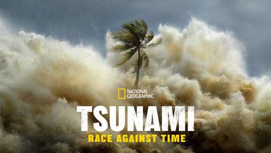 Tsunami: Race Against Time - Backdrops