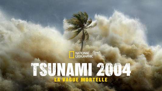 Tsunami: Race Against Time - Backdrops
