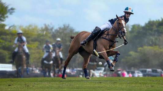 Polo - Backdrops