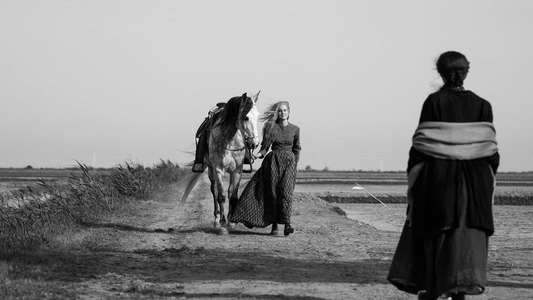 Elisa & Marcela - Backdrops