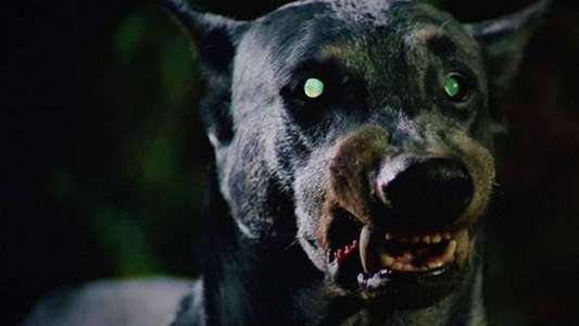 Devil Dog: The Hound of Hell - Backdrops