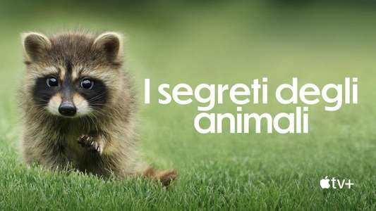 The Secret Lives of Animals - Backdrops