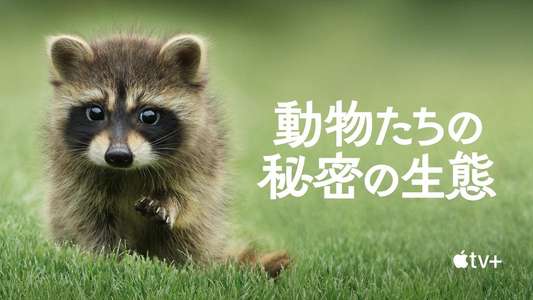 The Secret Lives of Animals - Backdrops