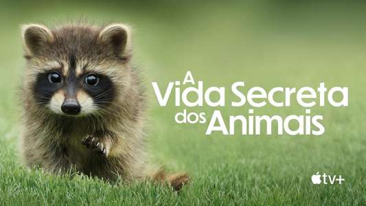 The Secret Lives of Animals - Backdrops
