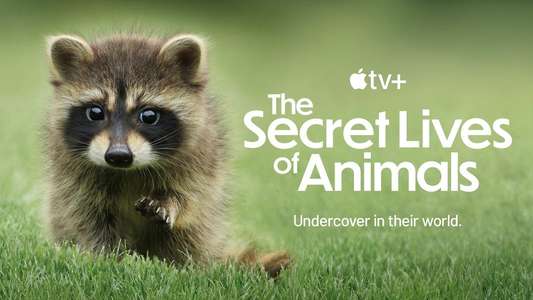 The Secret Lives of Animals - Backdrops