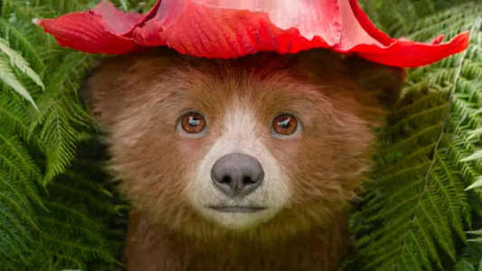 Paddington in Peru - Backdrops