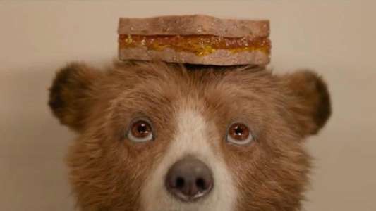 Paddington in Peru - Backdrops