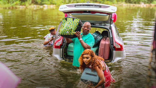 Disaster Holiday - Backdrops