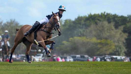 Polo - Backdrops